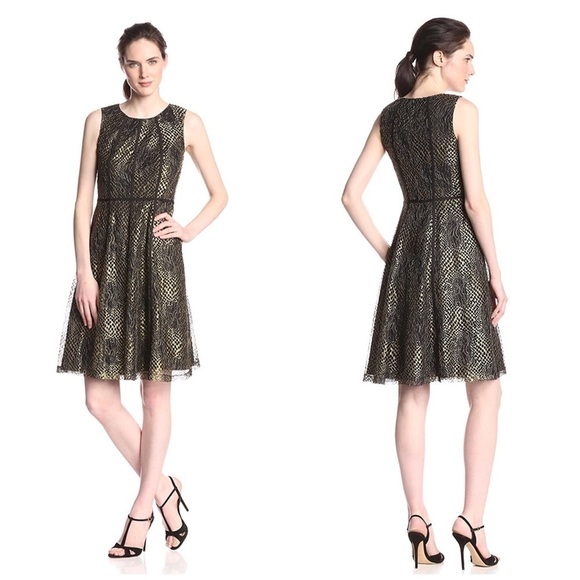 [Anne Klein]‎ Sleeveless Lace Fit-and-Flare Dress